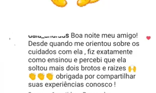 Capturar 1