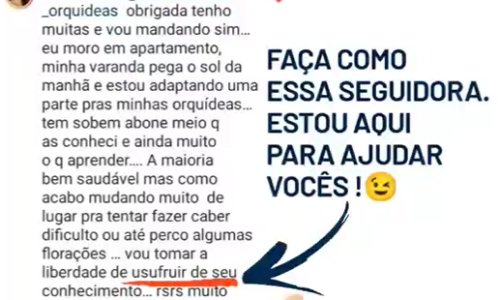 Capturar 2