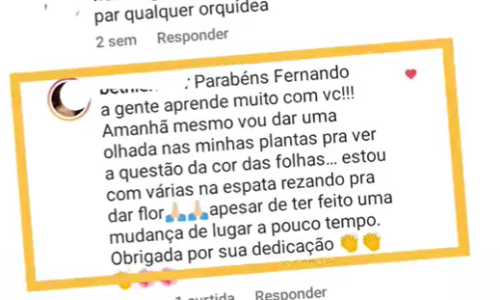 Capturar